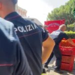 Uva illegale al mercato: maxi sequestro a Catania