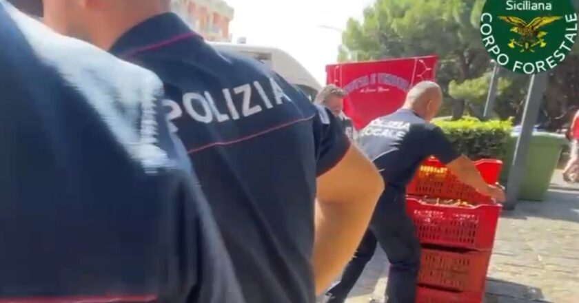 Uva illegale al mercato: maxi sequestro a Catania