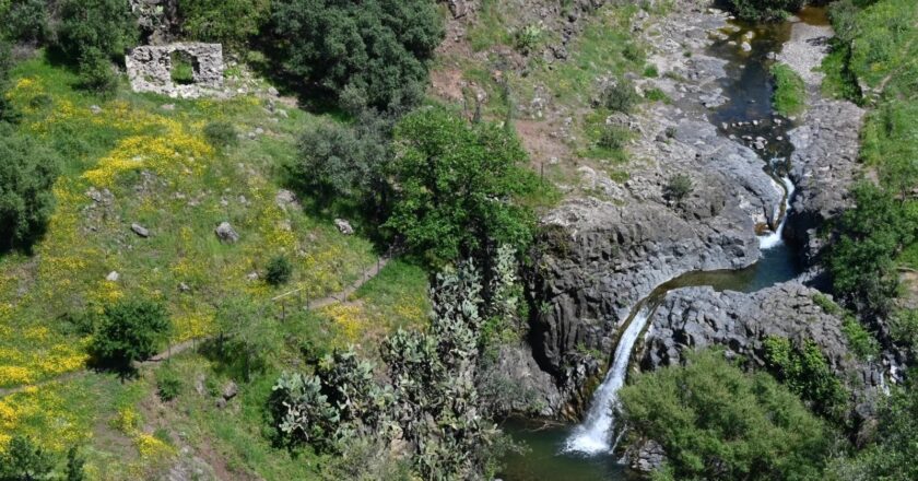 Natura e comunità: al via la fase partecipativa per le nuove riserve “Valle dell’Ossena” e “Valle del Loddiero”