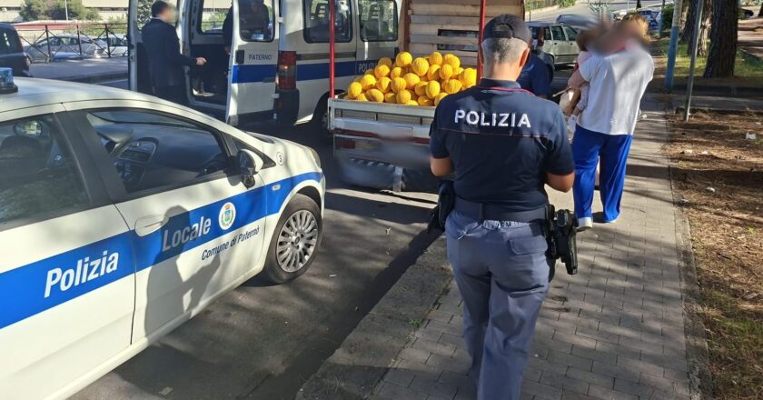 Paternò, merci non tracciate e abusivismo: sequestrati oltre 532 kg di ortofrutta e sanzioni per quasi 13.000 euro