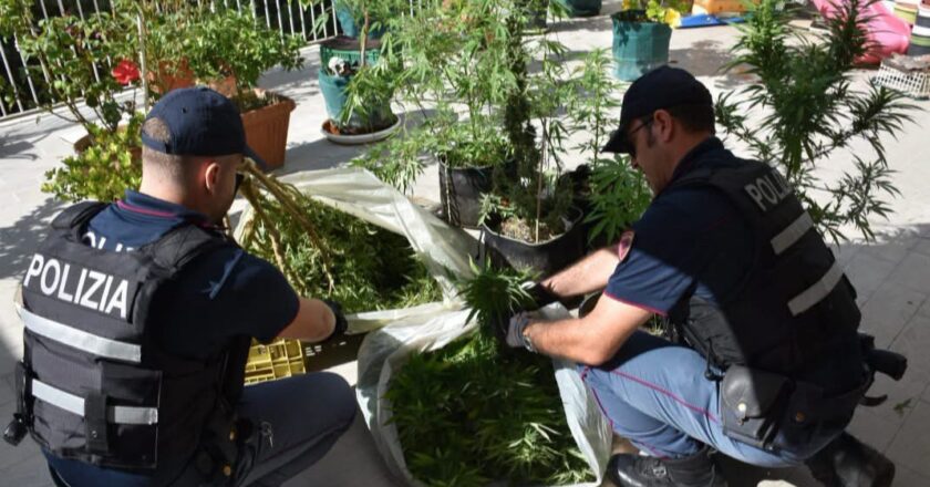 CALTAGIRONE, COLTIVAZIONE DI MARIJUANA IN UNO STABILE: DIECI PIANTE SEQUESTRATE E TRE PERSONE DENUNCIATE